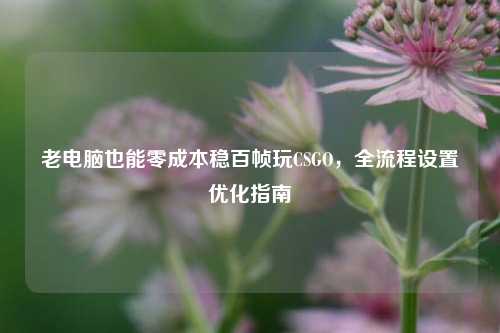 老电脑也能零成本稳百帧玩CSGO，全流程设置优化指南