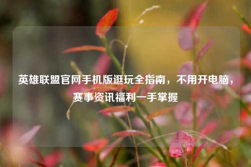 英雄联盟官网手机版逛玩全指南,不用开电脑,赛事资讯福利一手掌握