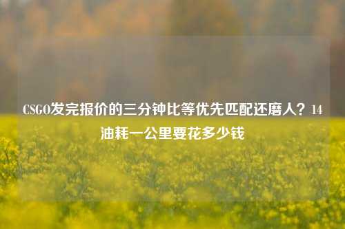 CSGO发完报价的三分钟比等优先匹配还磨人？14油耗一公里要花多少钱