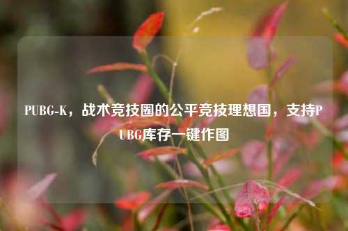 PUBG-K，战术竞技圈的公平竞技理想国，支持PUBG库存一键作图