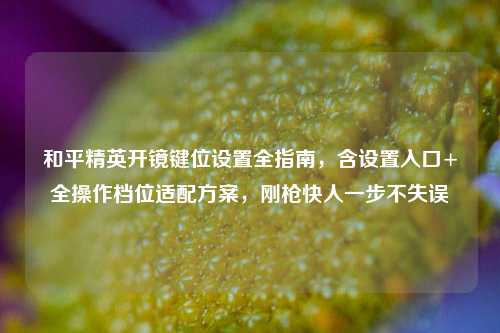 和平精英开镜键位设置全指南，含设置入口+全操作档位适配方案，刚枪快人一步不失误