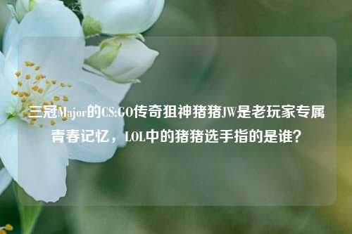 三冠Major的CS:GO传奇狙神猪猪JW是老玩家专属青春记忆,LOL中的猪猪选手指的是谁?