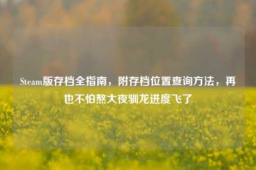 Steam版存档全指南,附存档位置查询方法,再也不怕熬大夜驯龙进度飞了