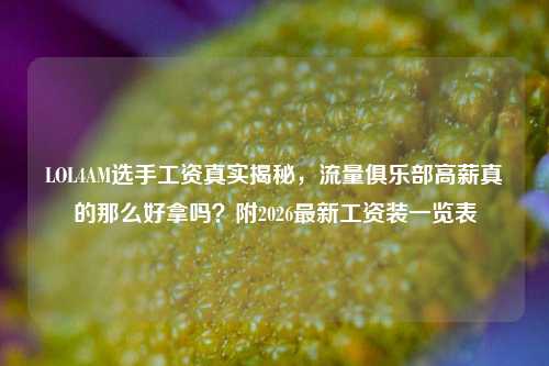 LOL4AM选手工资真实揭秘,流量俱乐部高薪真的那么好拿吗?附2026最新工资装一览表