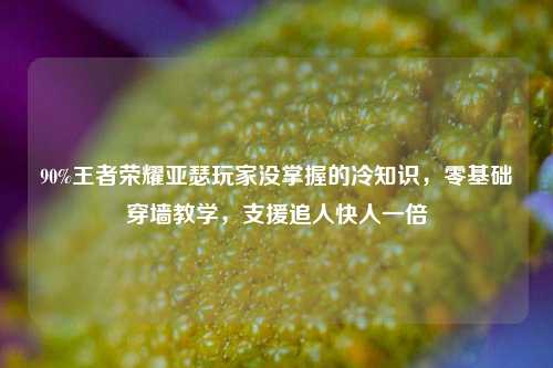 90%王者荣耀亚瑟玩家没掌握的冷知识，零基础穿墙教学，支援追人快人一倍