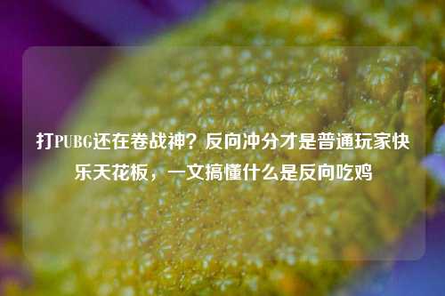 打PUBG还在卷战神？反向冲分才是普通玩家快乐天花板，一文搞懂什么是反向吃鸡