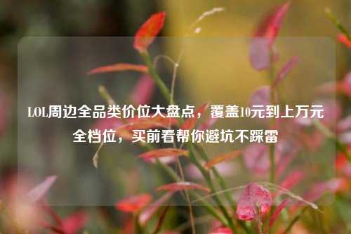 LOL周边全品类价位大盘点,覆盖10元到上万元全档位,买前看帮你避坑不踩雷