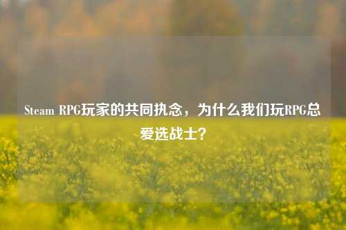 Steam RPG玩家的共同执念,为什么我们玩RPG总爱选战士?