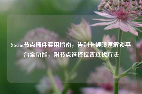 Steam节点插件实用指南，告别卡顿限速解锁平台全功能，附节点选择位置查找方法