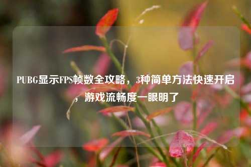 PUBG显示FPS帧数全攻略，3种简单方法快速开启，游戏流畅度一眼明了