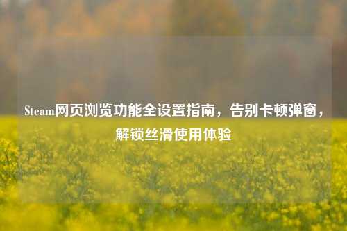 Steam网页浏览功能全设置指南，告别卡顿弹窗，解锁丝滑使用体验