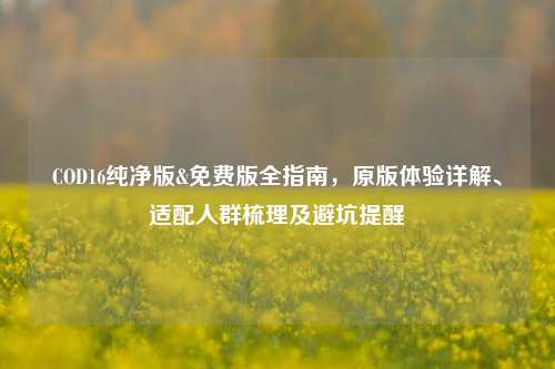 COD16纯净版&免费版全指南，原版体验详解、适配人群梳理及避坑提醒