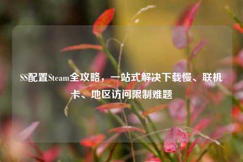 SS配置Steam全攻略，一站式解决下载慢、联机卡、地区访问限制难题