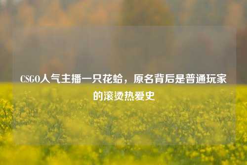 CSGO人气主播一只花蛤，原名背后是普通玩家的滚烫热爱史