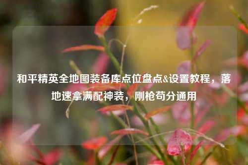 和平精英全地图装备库点位盘点&设置教程，落地速拿满配神装，刚枪苟分通用