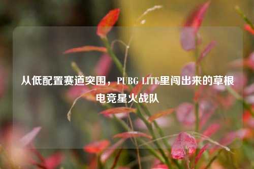 从低配置赛道突围,PUBG LITE里闯出来的草根电竞星火战队