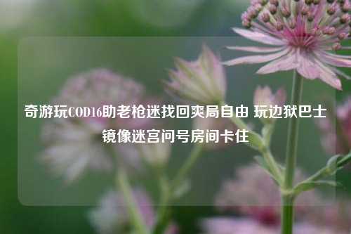 奇游玩COD16助老枪迷找回爽局自由 玩边狱巴士镜像迷宫问号房间卡住