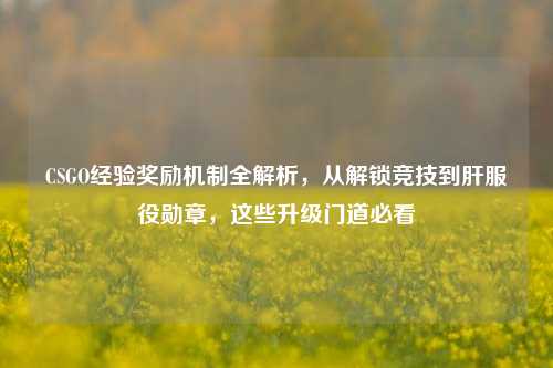 CSGO经验奖励机制全解析，从解锁竞技到肝服役勋章，这些升级门道必看