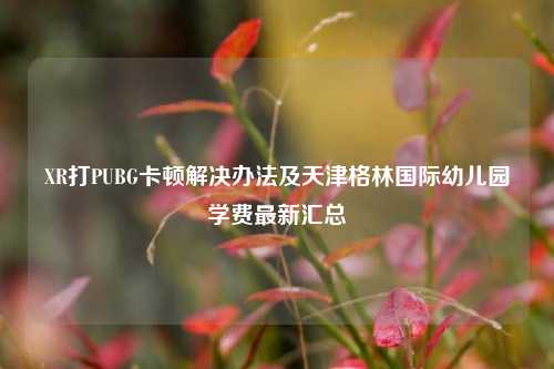 XR打PUBG卡顿解决办法及天津格林国际幼儿园学费最新汇总