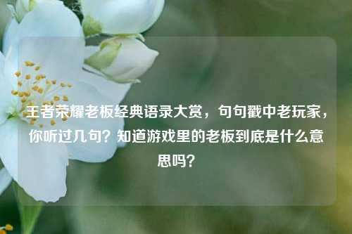 王者荣耀老板经典语录大赏，句句戳中老玩家，你听过几句？知道游戏里的老板到底是什么意思吗？