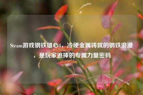 Steam游戏钢铁雄心4,冷硬金属铸就的钢铁浪漫,是玩家追捧的专属力量密码