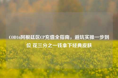 COD16阿根廷区CP充值全指南,避坑实操一步到位 花三分之一钱拿下经典皮肤