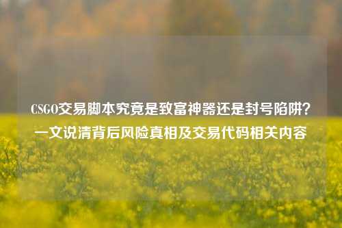 CSGO交易脚本究竟是致富神器还是封号陷阱？一文说清背后风险真相及交易代码相关内容