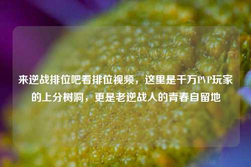来逆战排位吧看排位视频，这里是千万PVP玩家的上分树洞，更是老逆战人的青春自留地