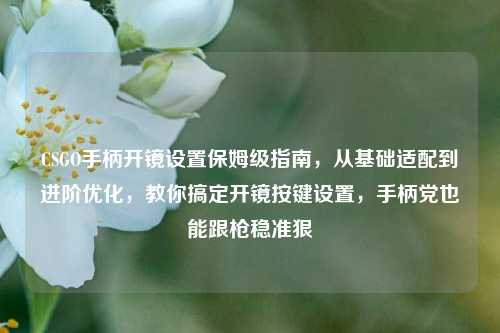 CSGO手柄开镜设置保姆级指南，从基础适配到进阶优化，教你搞定开镜按键设置，手柄党也能跟枪稳准狠