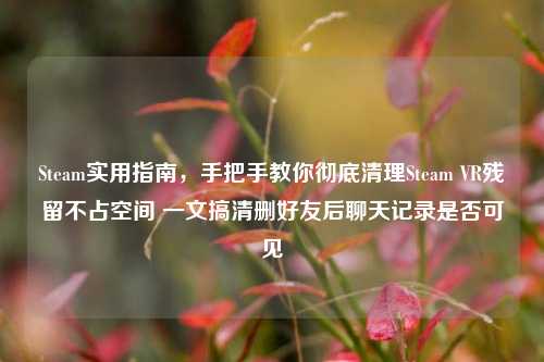 Steam实用指南，手把手教你彻底清理Steam VR残留不占空间 一文搞清删好友后聊天记录是否可见
