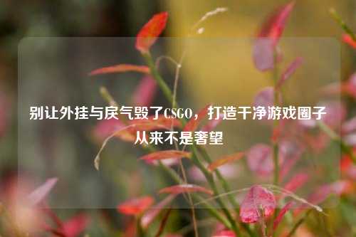 别让外挂与戾气毁了CSGO，打造干净游戏圈子从来不是奢望