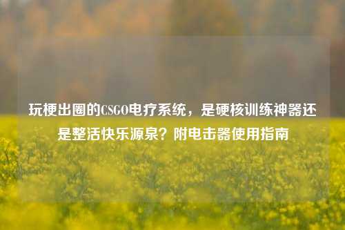 玩梗出圈的CSGO电疗系统,是硬核训练神器还是整活快乐源泉?附电击器使用指南