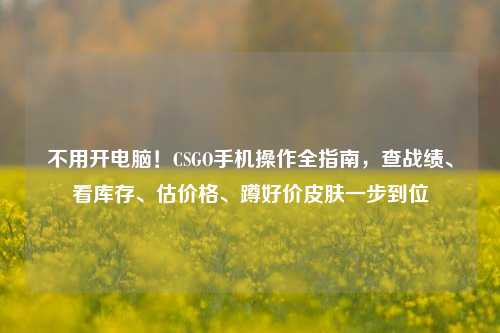 不用开电脑！CSGO手机操作全指南，查战绩、看库存、估价格、蹲好价皮肤一步到位