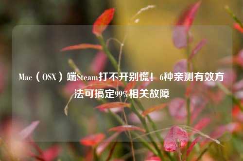Mac(OSX)端Steam打不开别慌!6种亲测有效方法可搞定99%相关故障