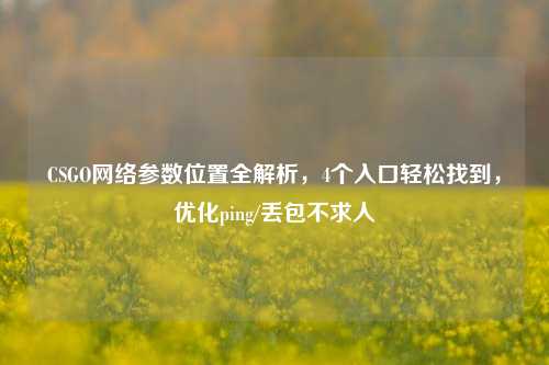 CSGO网络参数位置全解析，4个入口轻松找到，优化ping/丢包不求人