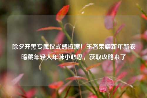 除夕开黑专属仪式感拉满！王者荣耀新年新衣暗藏年轻人年味小心思，获取攻略来了