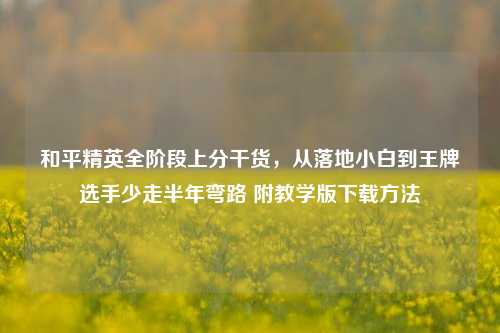 和平精英全阶段上分干货，从落地小白到王牌选手少走半年弯路 附教学版下载方法