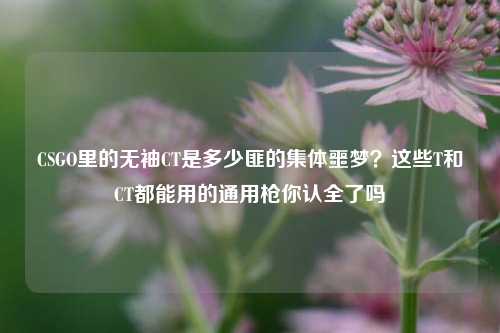 CSGO里的无袖CT是多少匪的集体噩梦？这些T和CT都能用的通用枪你认全了吗