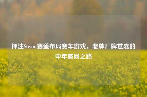 押注Steam赛道布局赛车游戏,老牌厂牌世嘉的中年破局之路