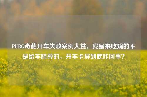 PUBG奇葩开车失败案例大赏，我是来吃鸡的不是给车陪葬的，开车卡屏到底咋回事？