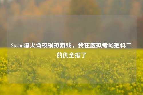 Steam爆火驾校模拟游戏,我在虚拟考场把科二的仇全报了