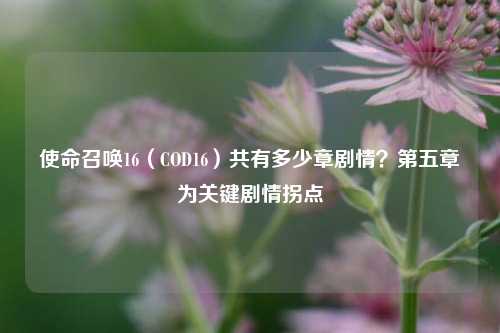 使命召唤16（COD16）共有多少章剧情？第五章为关键剧情拐点