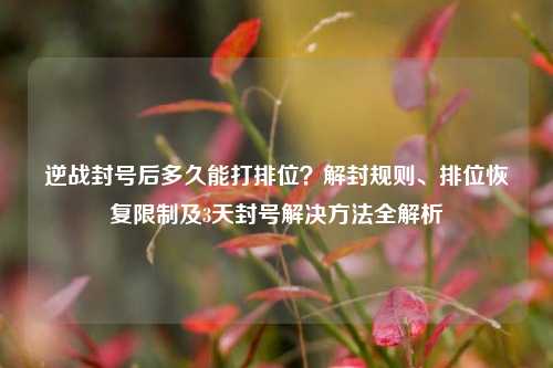逆战封号后多久能打排位?解封规则、排位恢复限制及3天封号解决方法全解析