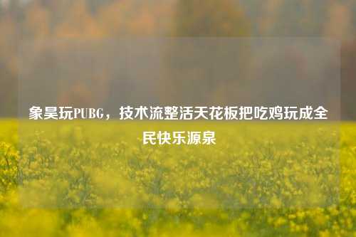 象昊玩PUBG，技术流整活天花板把吃鸡玩成全民快乐源泉