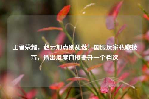 王者荣耀，赵云加点别乱选！国服玩家私藏技巧，输出坦度直接提升一个档次
