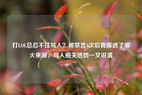 打LOL总忍不住骂人？被禁言3次后我摸透了邪火来源，骂人相关惩罚一文说清