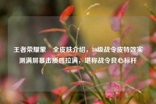 王者荣耀蒙犽全皮肤介绍,80级战令皮特效实测满屏暴击质感拉满,堪称战令良心标杆