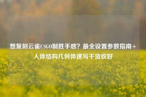 想复刻云雀CSGO制胜手感？最全设置参数指南+人体结构几何体速写干货收好