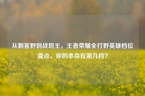 从刺客野到战坦王，王者荣耀全打野英雄档位盘点，你的本命在第几档？