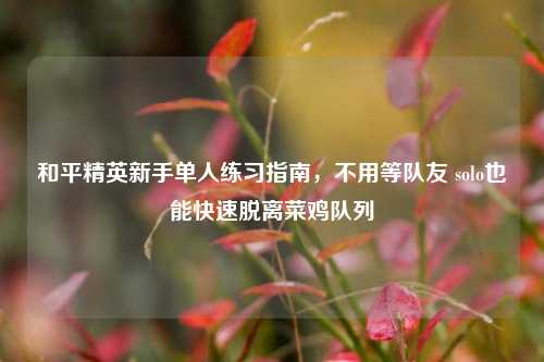和平精英新手单人练习指南，不用等队友 solo也能快速脱离菜鸡队列